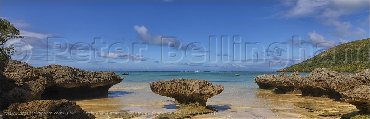 Peter Bellingham Photography Settlement Beach - Lord Howe Island - NSW (PBH4 00 11716)